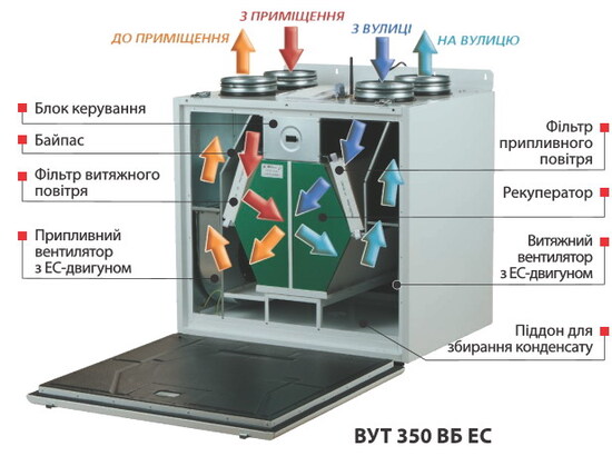 розріз